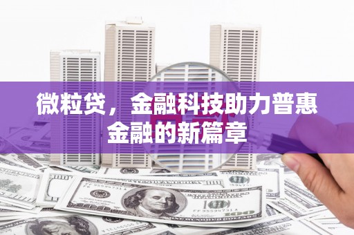 蔡甸微粒贷，金融科技助力普惠金融的新篇章