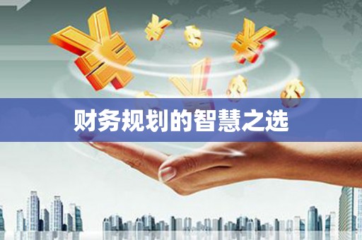 蔡甸财务规划的智慧之选