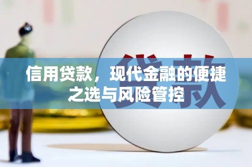 蔡甸信用贷款，现代金融的便捷之选与风险管控