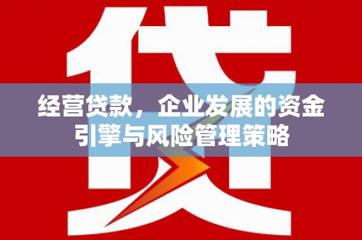 蔡甸经营贷款，企业发展的资金引擎与风险管理策略