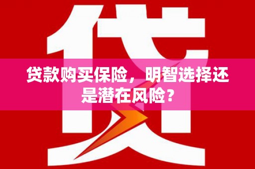 蔡甸贷款购买保险，明智选择还是潜在风险？