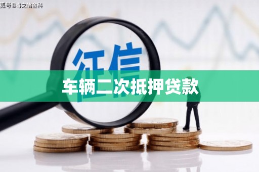 蔡甸车辆二次抵押贷款