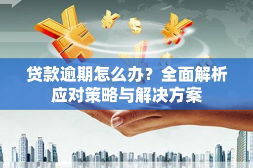 蔡甸贷款逾期怎么办？全面解析应对策略与解决方案