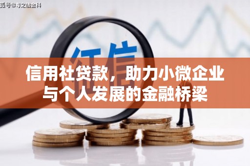 蔡甸信用社贷款，助力小微企业与个人发展的金融桥梁