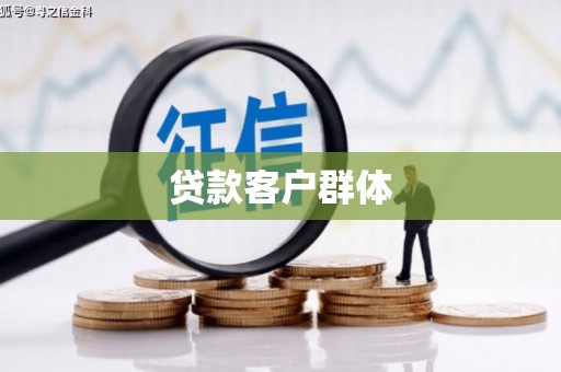 蔡甸贷款客户群体