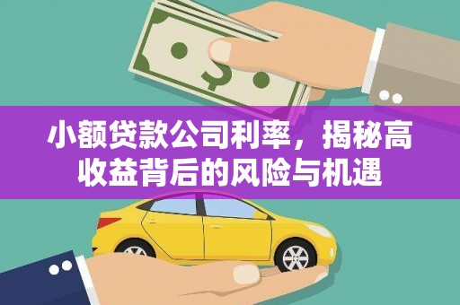 蔡甸小额贷款公司利率，揭秘高收益背后的风险与机遇