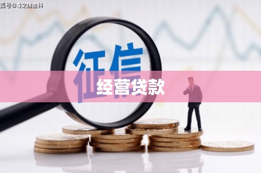 蔡甸经营贷款