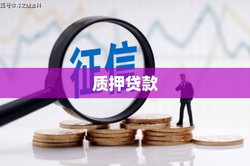蔡甸质押贷款