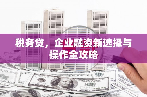 蔡甸税务贷，企业融资新选择与操作全攻略
