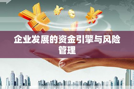 蔡甸企业发展的资金引擎与风险管理