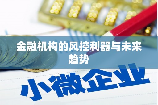 蔡甸金融机构的风控利器与未来趋势