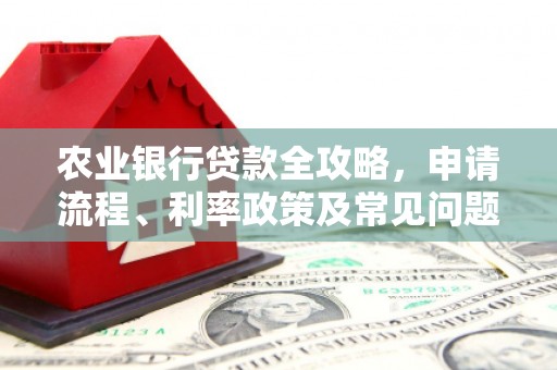 蔡甸农业银行贷款全攻略，申请流程、利率政策及常见问题解析