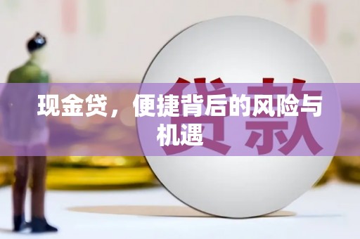 蔡甸现金贷，便捷背后的风险与机遇