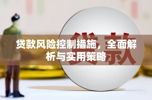 蔡甸贷款风险控制措施，全面解析与实用策略