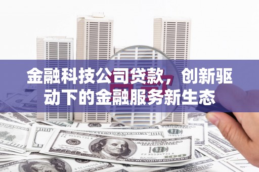 蔡甸金融科技公司贷款，创新驱动下的金融服务新生态