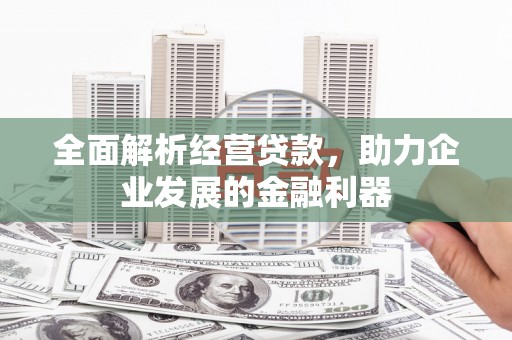 蔡甸全面解析经营贷款，助力企业发展的金融利器