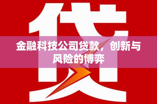 蔡甸金融科技公司贷款，创新与风险的博弈