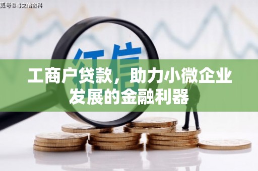 蔡甸工商户贷款，助力小微企业发展的金融利器