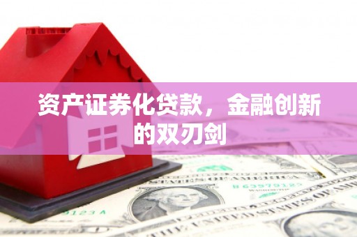 蔡甸资产证券化贷款，金融创新的双刃剑