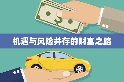 蔡甸机遇与风险并存的财富之路