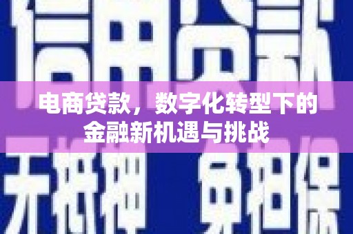 蔡甸电商贷款，数字化转型下的金融新机遇与挑战