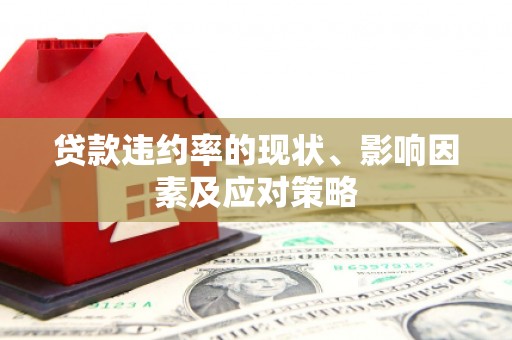 蔡甸贷款违约率的现状、影响因素及应对策略