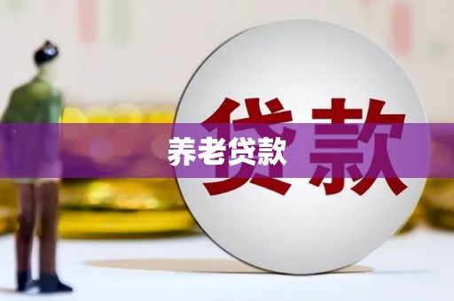蔡甸养老贷款