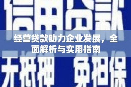 蔡甸经营贷款助力企业发展，全面解析与实用指南