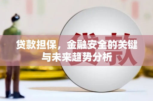 蔡甸贷款担保，金融安全的关键与未来趋势分析