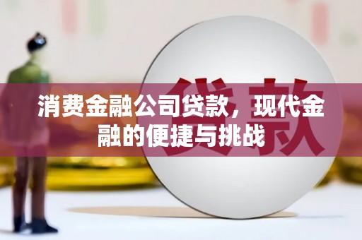 蔡甸消费金融公司贷款，现代金融的便捷与挑战