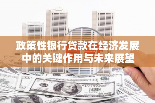 蔡甸政策性银行贷款在经济发展中的关键作用与未来展望