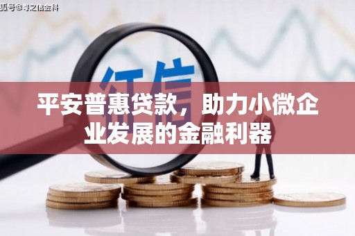 蔡甸平安普惠贷款，助力小微企业发展的金融利器