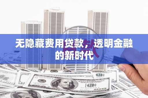 蔡甸无隐藏费用贷款，透明金融的新时代