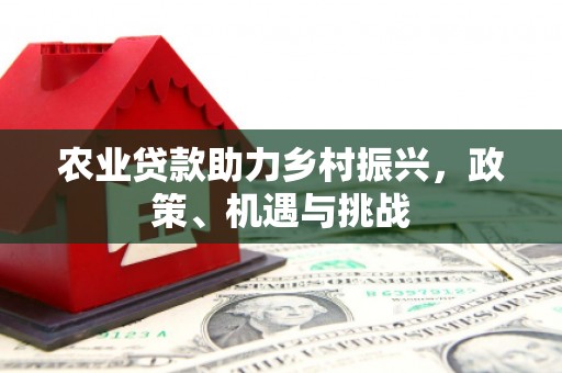 蔡甸农业贷款助力乡村振兴，政策、机遇与挑战