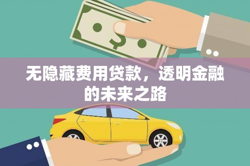 蔡甸无隐藏费用贷款，透明金融的未来之路