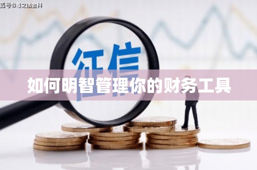 蔡甸如何明智管理你的财务工具