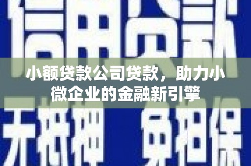 蔡甸小额贷款公司贷款，助力小微企业的金融新引擎