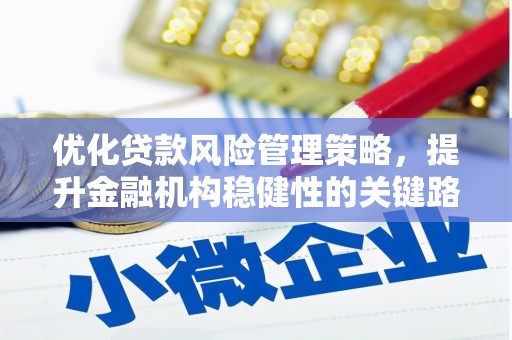 蔡甸优化贷款风险管理策略，提升金融机构稳健性的关键路径