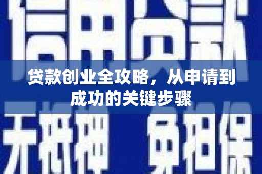 蔡甸贷款创业全攻略，从申请到成功的关键步骤