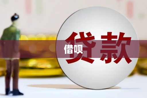 蔡甸借呗