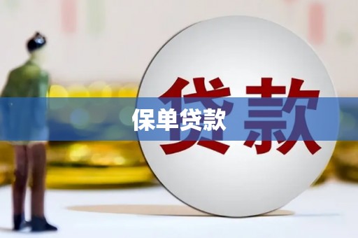 蔡甸保单贷款
