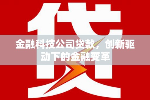 蔡甸金融科技公司贷款，创新驱动下的金融变革