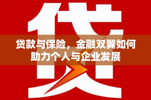 蔡甸贷款与保险，金融双翼如何助力个人与企业发展