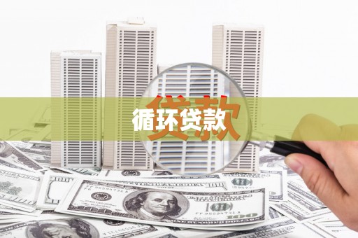 蔡甸循环贷款