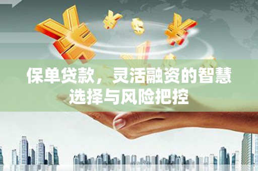 蔡甸保单贷款，灵活融资的智慧选择与风险把控