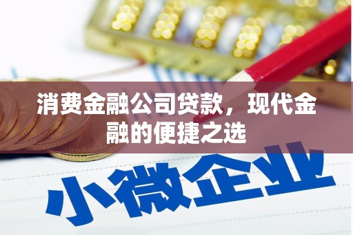 蔡甸消费金融公司贷款，现代金融的便捷之选