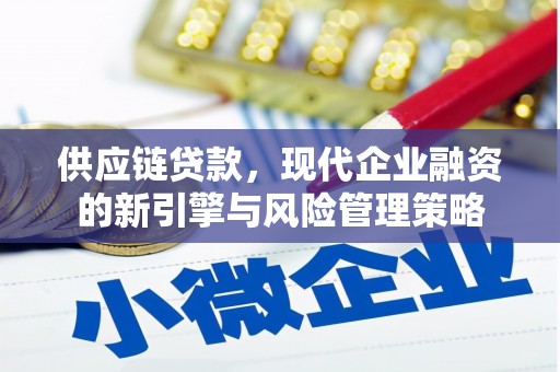 蔡甸供应链贷款，现代企业融资的新引擎与风险管理策略