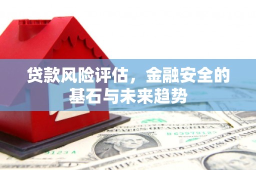 蔡甸贷款风险评估，金融安全的基石与未来趋势