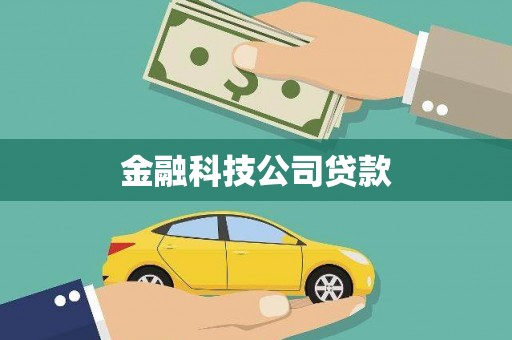 蔡甸金融科技公司贷款