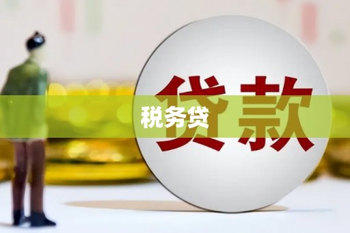 蔡甸税务贷